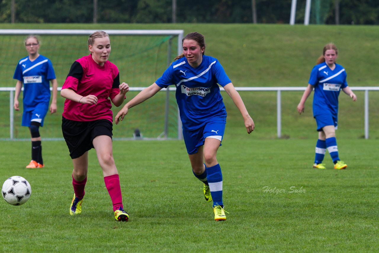 Bild 250 - B-Juniorinnen FSG BraWie 08 - JSG Sandesneben : Ergebnis: 2:0